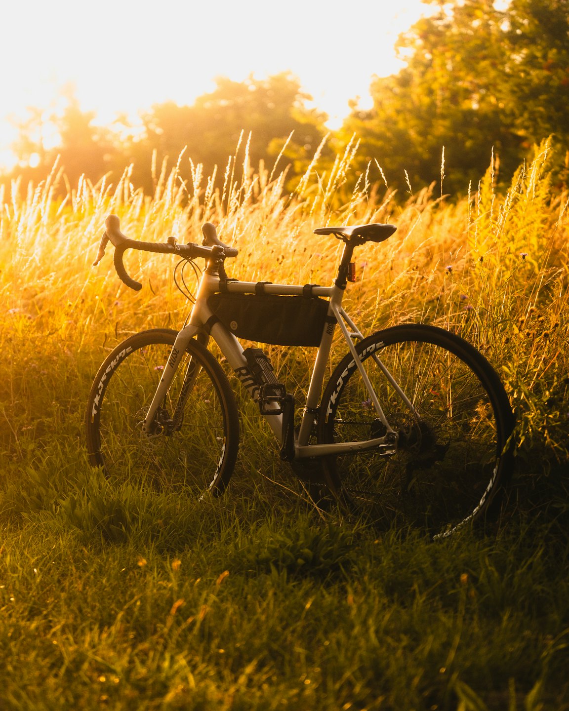 Ein Gravelbike steht in hohem Gras.